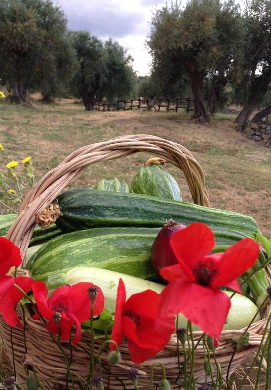 Agriturismo Prati degli Orti Montiano  Esterno foto