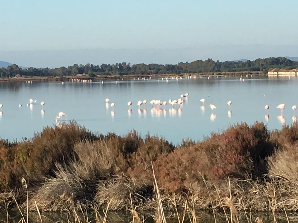 Agriturismo Prati degli Orti Montiano  Esterno foto