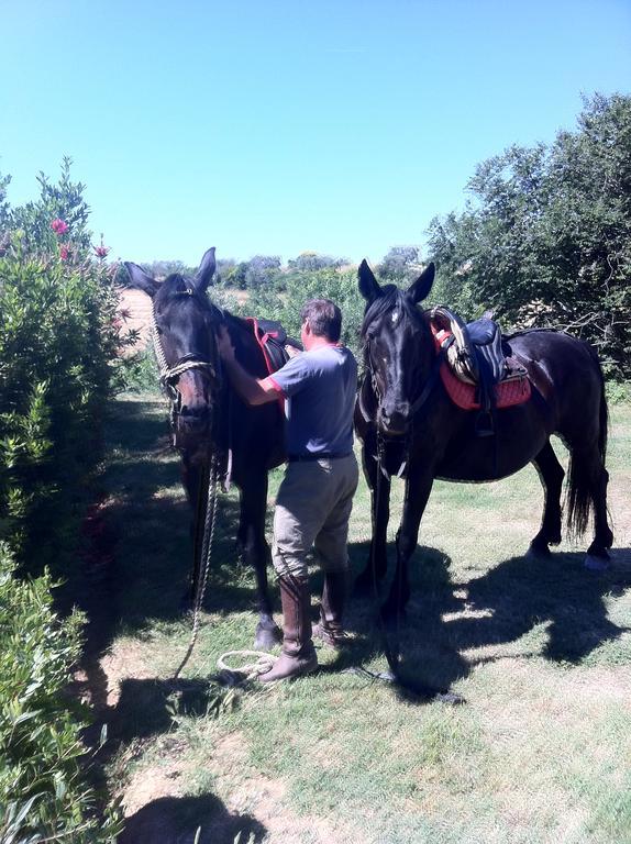 Agriturismo Prati degli Orti Montiano  Esterno foto