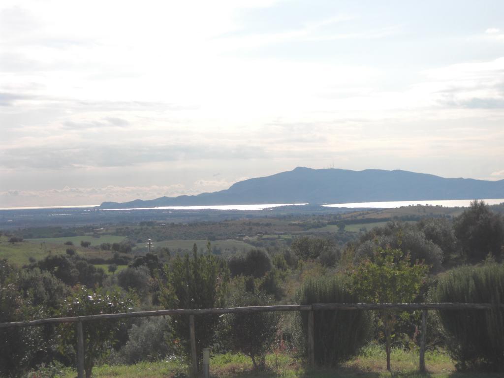 Agriturismo Prati degli Orti Montiano  Esterno foto