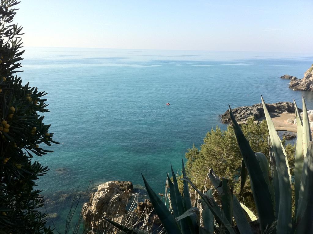 Agriturismo Prati degli Orti Montiano  Esterno foto