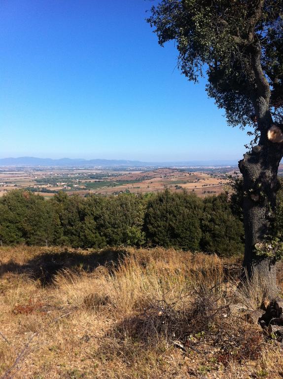 Agriturismo Prati degli Orti Montiano  Esterno foto