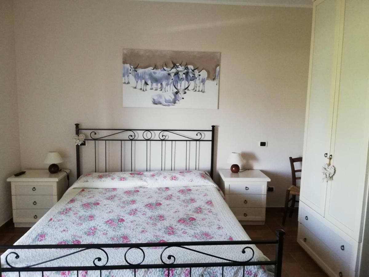 Agriturismo Prati degli Orti Montiano  Esterno foto