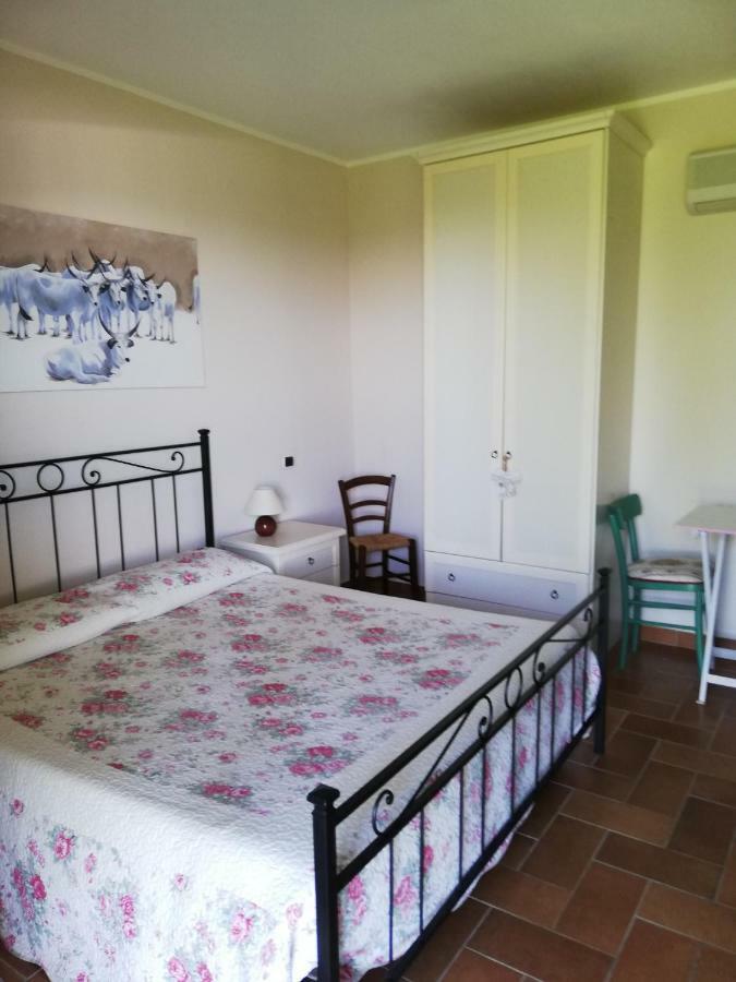 Agriturismo Prati degli Orti Montiano  Esterno foto